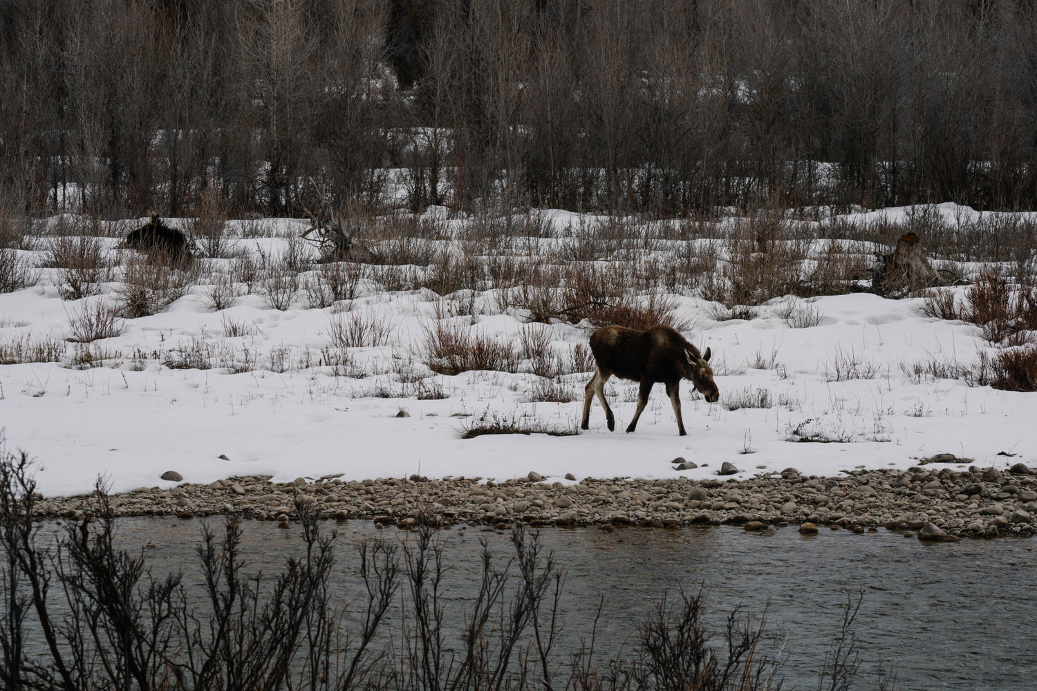 Wyoming